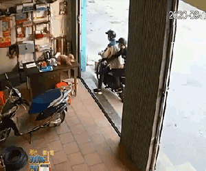 Video: 7 giây câu trộm chó dã man, vẻ bình thản của kẻ xấu khiến tất cả bức xúc