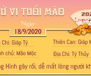 Tử vi thứ 6 ngày 18/09/2020 của 12 con giáp: Dần kiêu ngạo, Tị có tiền thưởng