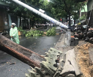 Cột điện 'không có thép' gãy trong bão số 5, ngành điện Đà Nẵng nói gì?