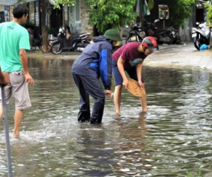 Dân mạng thích thú với hình ảnh người dân Đà Nẵng... ra đường bắt cá sau bão