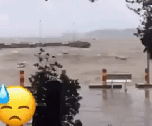 Sinh viên khóc ròng nhìn phòng trọ ngập tận mép giường sau bão, cả đêm thức trắng tát nước ra ngoài
