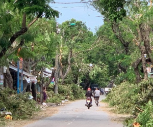 Bị cây gãy do bão đè trúng, chuyên viên phòng giáo dục tử vong