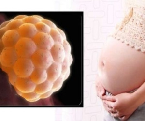 Từ vụ cô gái 20 tuổi bị chửa trứng: Những dấu hiệu đặc biệt quan trọng chị em cần lưu ý để phát hiện sớm tình trạng bất thường thai nghén này