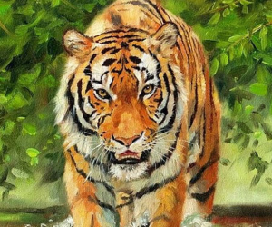 Những ngày cuối tháng 9: 3 con giáp may mắn đón lộc trời ban, tài vận thăng hoa rực rỡ