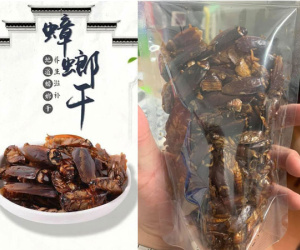 Một cửa hàng online rao bán snack 'gián sấy khô' gây ám ảnh, nghĩ đùa thôi nhưng khi vào xem thành phẩm dân mạng tá hỏa chỉ muốn thoát ra