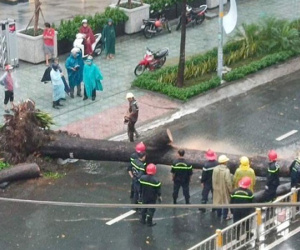 Nạn nhân bị cây xanh bật gốc đè trúng trong mưa lớn ở Sài Gòn chấn thương nặng, đã phẫu thuật gấp