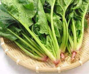 Những loại rau củ giàu sắt không kém gì thịt bò
