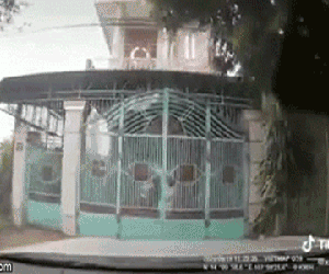 Video: Nữ tài xế húc đổ cổng nhà, đâm trúng bố chồng đứng trong sân
