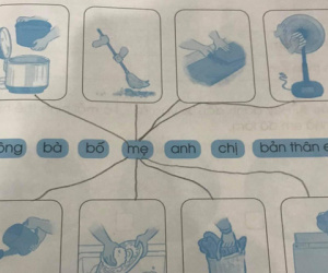 Yêu cầu 'nối mỗi thành viên với hoạt động tương ứng', cô bé lớp 1 nối vài gạch khiến cả lớp và cô giáo ôm bụng cười té ghế