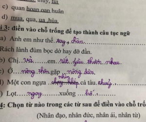Học sinh lớp 1 điền thành ngữ 'bá đạo', câu cuối khiến cô giáo phải khen 'hay hơn cả bản gốc'