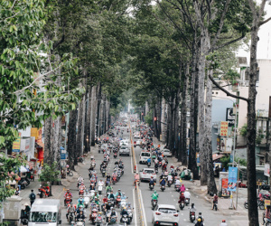Sau vụ cây xanh bật gốc đè chết người: Vẫn còn nhiều cây đã già cỗi có rễ lộ thiên, nhánh vươn ra mặt đường ở Sài Gòn