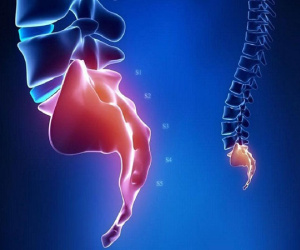 Vì sao nhiều bộ phận không biến mất hoàn toàn khi tiến hóa?