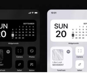 Một designer đã kiếm được 100.000 USD chỉ trong 6 ngày, bằng cách bán các icon tùy chỉnh trên iOS 14