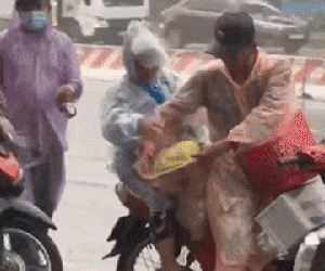 Mưa gió bão bùng, chú chó được chủ sắm cho chiếc áo mưa, hành động sau đó nhanh chóng 'hút' nửa triệu người quan tâm