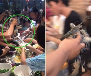 Thực khách xúm vào giành giật chậu tôm sống trong nhà hàng buffet, có người bốc cả nắm bằng tay không khiến dân tình ngỡ ngàng