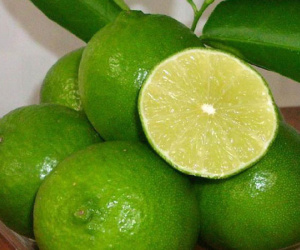 Chanh ta vào mùa, giá rẻ giật mình chỉ 10 ngàn/kg bán đầy các chợ