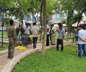 Ảnh minh họa