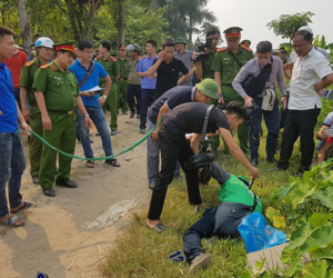 Ảnh minh họa