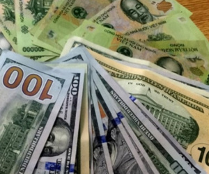 Giá USD trong nước 'án binh bất động'