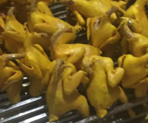 Cẩn trọng khi chạy theo 'cơn sốt' gà ủ muối giá rẻ