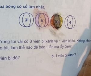 Toán Tiểu học dạy xác suất thống kê, chuyên gia dự đoán 90% trẻ không thể giải được