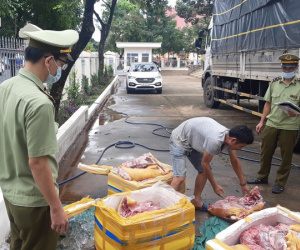 Đắk Lắk: Thu giữ 300kg thịt heo nái bốc mùi hôi thối