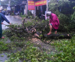 Tôn bay trúng đầu một người dân trong cơn bão số 6