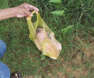 Bé sơ sinh nguyên dây rốn bị vứt bỏ trong túi ni lông ven đường