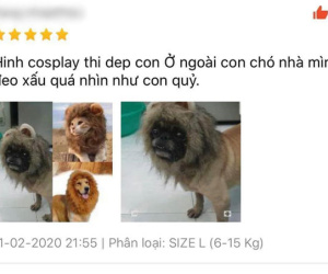 Bỏ 69k đặt mua 'bờm sư tử dũng mãnh' cho pet, khách hoảng hồn khi nhận sản phẩm về tay như đạo cụ phim kinh dị