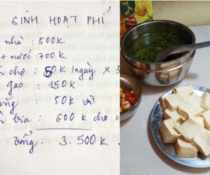 Chia sẻ bảng chi chỉ có 3,5 triệu/tháng cho 3 người, vợ trẻ bị chất vấn vì ăn uống kham khổ và 1 khoản bất hợp lý