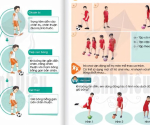 Phụ huynh 'choáng váng' với sách Giáo dục thể chất lớp 1 đầy thuật ngữ khó, nội dung bị nhận xét 'hoàn toàn phi thực tế'