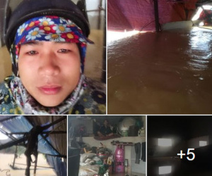 Mắc kẹt trong nhà ngập khuất tầm nhìn, không có đồ ăn nước uống, nam thanh niên ở Quảng Bình lên mạng cầu cứu: 'Ca nô nào đi ngang qua xin hãy gọi để em tìm cách ra'