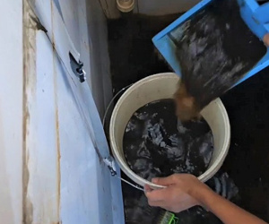 Video: 2,5 triệu dân nội thành Hà Nội đang dùng nước giếng khoan