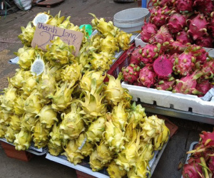 'Hãi hùng' sự thật loại thanh long vàng bán rẻ đầy đường