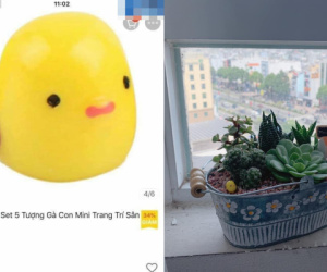 Hào hứng săn sale, cô gái nhận về cái kết 'đắng lòng'