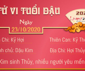 Tử vi thứ 6 ngày 23/10/2020 của 12 con giáp: Thìn mâu thuẫn, Tý gặp quý nhân