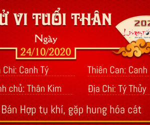 Tử vi thứ 7 ngày 24/10/2020 của 12 con giáp: Sửu tình duyên khởi sắc, Mão mâu thuẫn gia đình