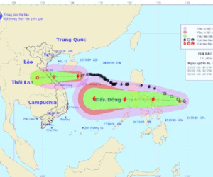 Tại sao bão ở Việt Nam thường đổ bộ vào miền Trung?