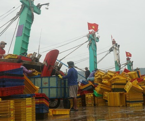 Bình Định: 1 tàu cá bị chìm trên đường tránh bão, 12 thuyền viên mất tích