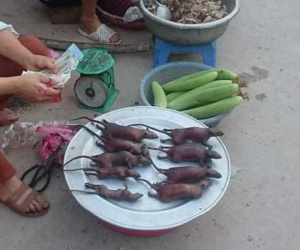 Bán loại thịt 'đáng sợ' nhưng ăn xong thì nghiện, làng ven đô Hà Nội 'hốt bạc' từng ngày