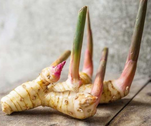 Ở Việt Nam có 3 loại củ 'rẻ như cho' nhưng công dụng lại sánh ngang thuốc quý, loại thứ 2 có thể chống được 8 loại ung thư nhưng ít ai biết