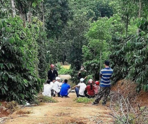 Sơn La: Ra tay sát hại bố đẻ, nam thanh niên sau đó được phát hiện tử vong gần nhà