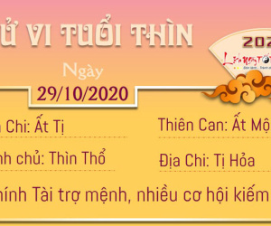 Tử vi thứ 5 ngày 29/10/2020 của 12 con giáp: Mão gặp rắc rối công sở, Thìn kiếm được tiền