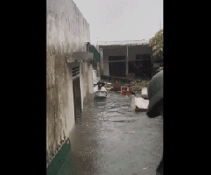 Video ảnh: Cận cảnh lực lượng chức năng bơi vào giải cứu người ra khỏi căn nhà ngập sâu ở thành phố Vinh