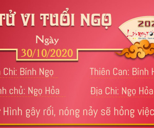 Tử vi thứ 6 ngày 30/10/2020 của 12 con giáp: Dậu được thưởng, Mão phải chú ý tài sản