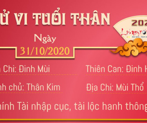 Tử vi thứ 7 ngày 31/10/2020 của 12 con giáp: Tị mất tiền, Thân phát tài
