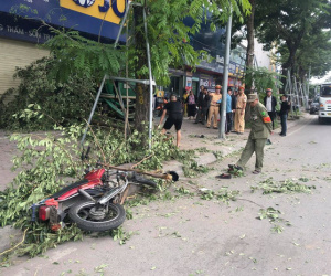 Ảnh minh họa