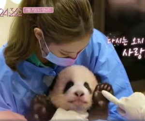 BLACKPINK vướng tranh cãi lớn khi vô tư ôm gấu trúc khi đang make up, có nhiều hành động thân mật không đảm bảo an toàn khiến Cnet phẫn nộ