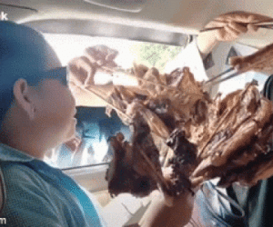 Vừa dừng xe hạ kính, nhóm người đã bị 'tấn công' bởi loạt xiên thịt: Không mua khó mà di chuyển