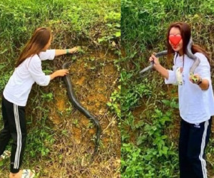 Gái xinh tay không bắt rắn hổ mang nặng gần 2kg cho bố ngâm rượu: 'Về nhà em mới biết nó độc chết người'